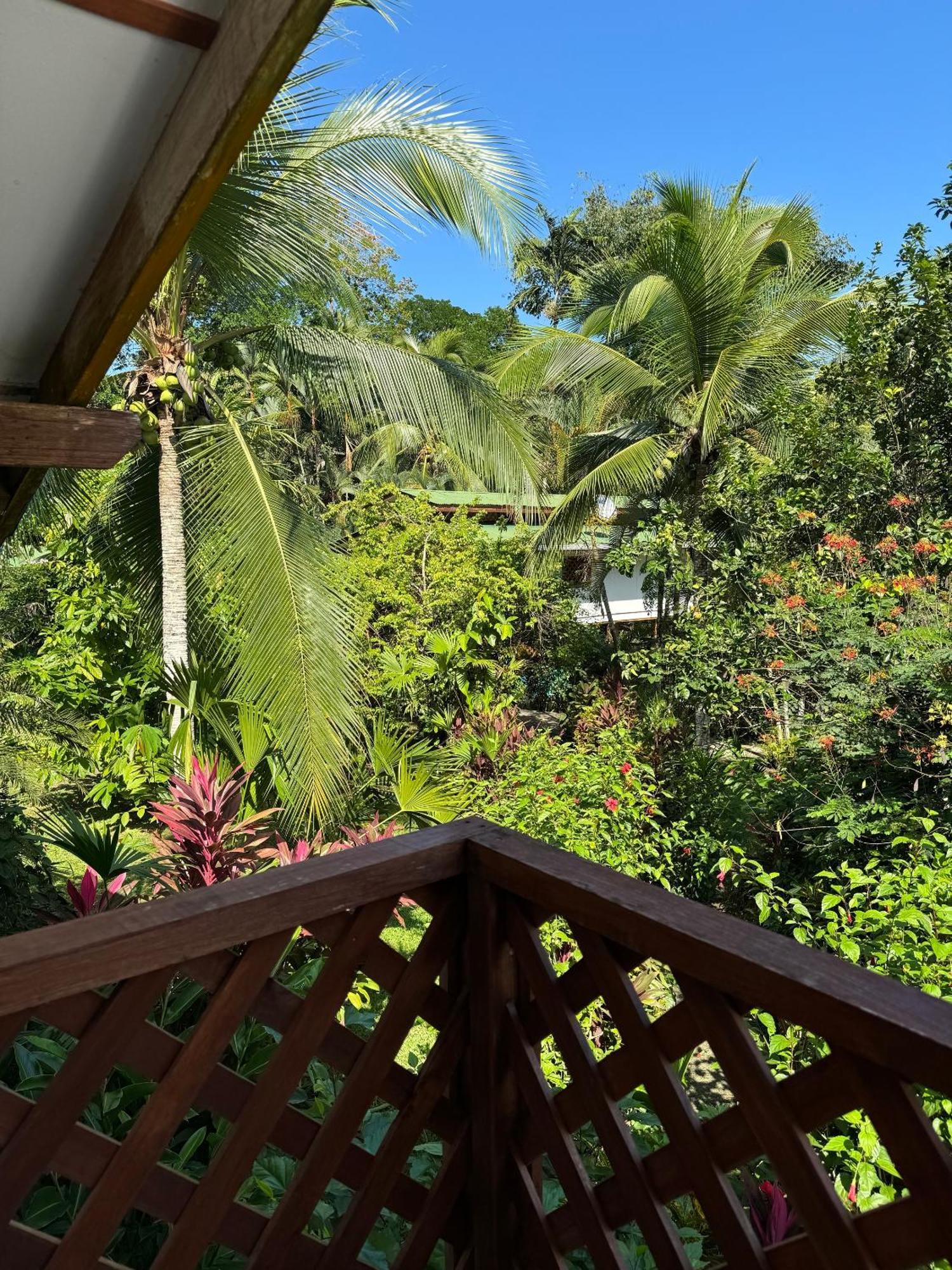 Passion Fruit Lodge Cahuita Exterior foto