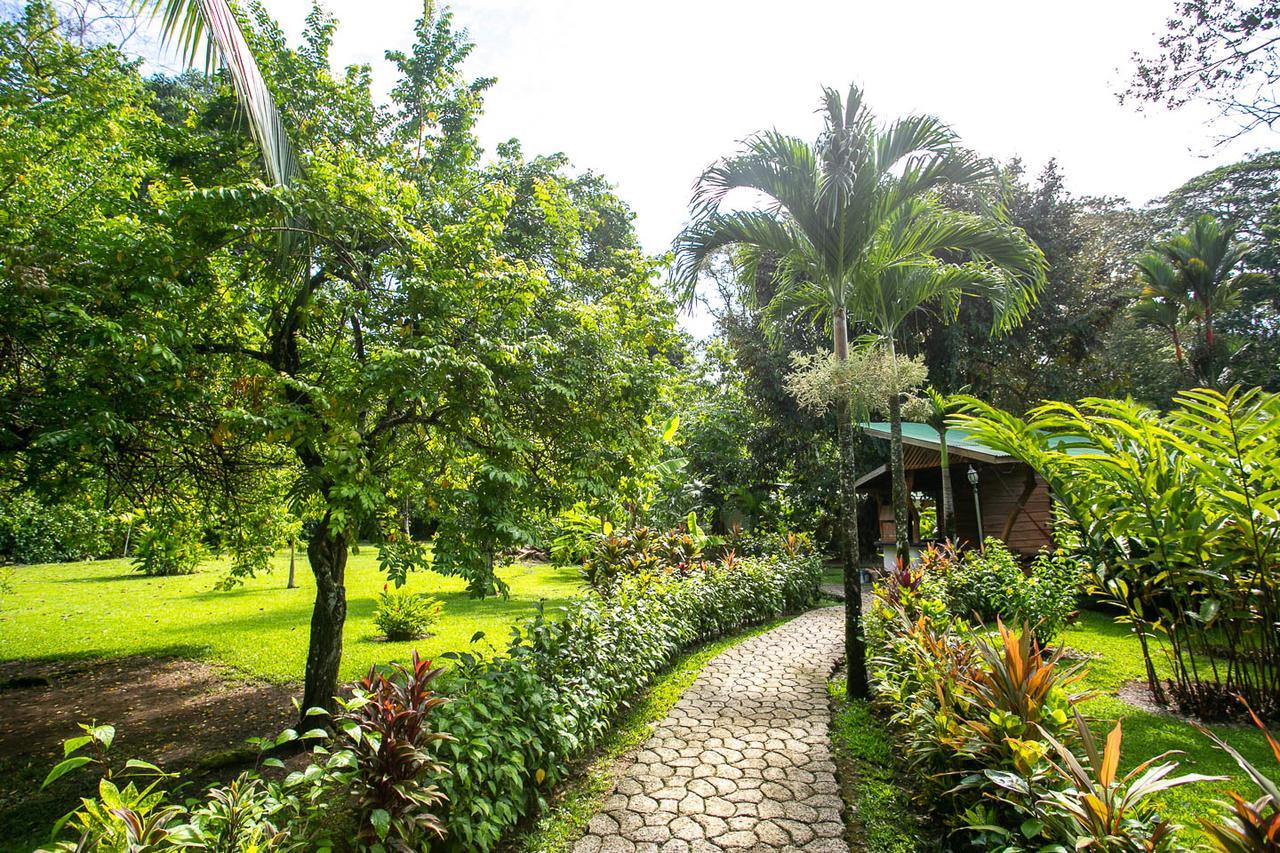 Passion Fruit Lodge Cahuita Exterior foto