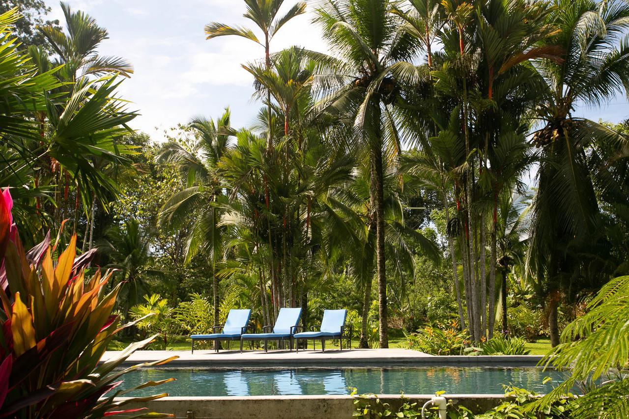 Passion Fruit Lodge Cahuita Exterior foto